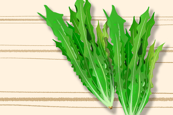 ����ӵĹ�Ч���� �������ô��